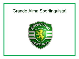 Grande Alma Sportinguista!

 