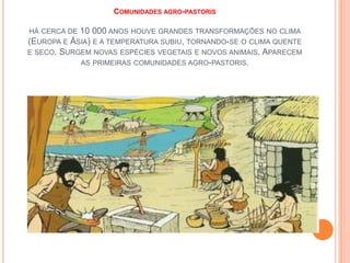 COMUNIDADES AGRO-PASTORIS

10 000 ANOS HOUVE GRANDES TRANSFORMAÇÕES NO CLIMA
(EUROPA E ÁSIA) E A TEMPERATURA SUBIU, TORNANDO-SE O CLIMA QUENTE
E SECO. SURGEM NOVAS ESPÉCIES VEGETAIS E NOVOS ANIMAIS. APARECEM
AS PRIMEIRAS COMUNIDADES AGRO-PASTORIS.
HÁ CERCA DE

 