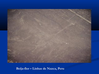 Beija-flor – Linhas de Nazca, Peru
 