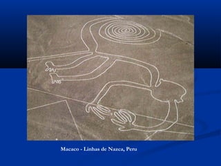 Macaco - Linhas de Nazca, Peru
 