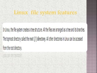 Linux file system features
 