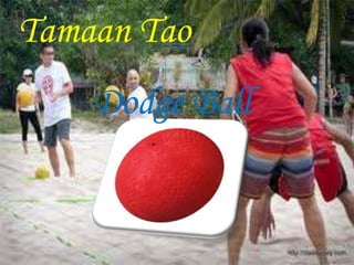 Tamaan Tao 
Dodge Ball 
 