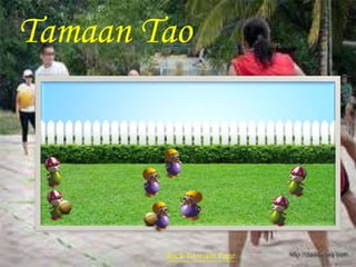 Tamaan Tao 
Back To main Page 
 