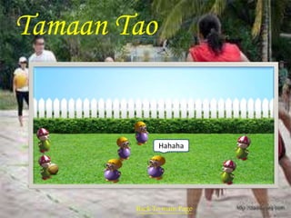 Tamaan Tao 
Hahaha 
Back To main Page 
 