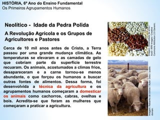 Neolítico - Idade da Pedra Polida
Cerca de 10 mil anos antes de Cristo, a Terra
passou por uma grande mudança climática. As
temperaturas se elevaram e as camadas de gelo
que cobriam parte da superfície terrestre
recuaram. Os animais, acostumados a climas frios,
desapareceram e a carne tornou-se menos
abundante, o que forçou os humanos a buscar
outras fontes de alimentos. Dessa forma, foi
desenvolvida a técnica da agricultura e os
agrupamentos humanos começaram a domesticar
os animais como cachorros, cabras, ovelhas e
bois. Acredita-se que foram as mulheres que
começaram a praticar a agricultura.
A Revolução Agrícola e os Grupos de
Agricultores e Pastores
Imagem:
Diversidade
de
arroz
/
Autor:
IRRI
Images
/
Creative
Commons
Attribution
2.0
Generic.
Imagem:
Rebanho
de
ovinos
/
Autor:
Ddxc
/
public
domain.
HISTÓRIA, 6º Ano do Ensino Fundamental
Os Primeiros Agrupamentos Humanos
 