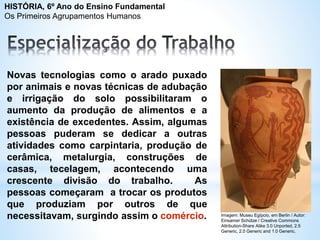 Novas tecnologias como o arado puxado
por animais e novas técnicas de adubação
e irrigação do solo possibilitaram o
aumento da produção de alimentos e a
existência de excedentes. Assim, algumas
pessoas puderam se dedicar a outras
atividades como carpintaria, produção de
cerâmica, metalurgia, construções de
casas, tecelagem, acontecendo uma
crescente divisão do trabalho. As
pessoas começaram a trocar os produtos
que produziam por outros de que
necessitavam, surgindo assim o comércio. Imagem: Museu Egípcio, em Berlin / Autor:
Einsamer Schütze / Creative Commons
Attribution-Share Alike 3.0 Unported, 2.5
Generic, 2.0 Generic and 1.0 Generic.
HISTÓRIA, 6º Ano do Ensino Fundamental
Os Primeiros Agrupamentos Humanos
 