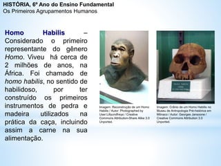 Homo Habilis –
Considerado o primeiro
representante do gênero
Homo. Viveu há cerca de
2 milhões de anos, na
África. Foi chamado de
homo habilis, no sentido de
habilidoso, por ter
construído os primeiros
instrumentos de pedra e
madeira utilizados na
prática da caça, incluindo
assim a carne na sua
alimentação.
Imagem: Reconstrução de um Homo
Habilis / Autor: Photographed by
User:Lillyundfreya / Creative
Commons Attribution-Share Alike 3.0
Unported.
Imagem: Crânio de um Homo Habilis no
Museu de Antropologia Pré-histórica em
Mônaco / Autor: Georges Jansoone /
Creative Commons Attribution 3.0
Unported.
HISTÓRIA, 6º Ano do Ensino Fundamental
Os Primeiros Agrupamentos Humanos
 