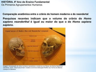 Pesquisas recentes indicam que o volume do crânio do Homo
sapiens neanderthal é igual ou maior do que o do Homo sapiens
sapiens.
Comparação anatômica entre o crânio do homem moderno e do neandertal
Imagem: Comparação de crânio humanos neandertais e modernos noo Museu de História Natural de
Cleveland / Autor: hairymuseummatt / Creative Commons Atribuição-Partilha nos Termos da Mesma
Licença 2.0 Genérica.
HISTÓRIA, 6º Ano do Ensino Fundamental
Os Primeiros Agrupamentos Humanos
 