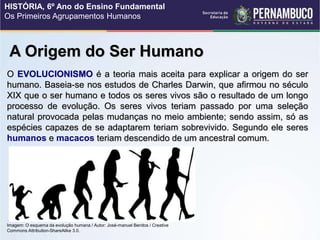 A Origem do Ser Humano
O EVOLUCIONISMO é a teoria mais aceita para explicar a origem do ser
humano. Baseia-se nos estudos de Charles Darwin, que afirmou no século
XIX que o ser humano e todos os seres vivos são o resultado de um longo
processo de evolução. Os seres vivos teriam passado por uma seleção
natural provocada pelas mudanças no meio ambiente; sendo assim, só as
espécies capazes de se adaptarem teriam sobrevivido. Segundo ele seres
humanos e macacos teriam descendido de um ancestral comum.
Imagem: O esquema da evolução humana / Autor: José-manuel Benitos / Creative
Commons Attribution-ShareAlike 3.0.
HISTÓRIA, 6º Ano do Ensino Fundamental
Os Primeiros Agrupamentos Humanos
 