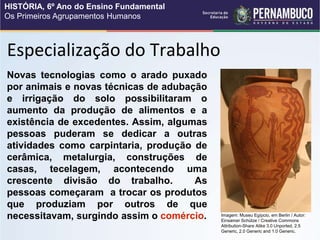 Especialização do Trabalho
Novas tecnologias como o arado puxado
por animais e novas técnicas de adubação
e irrigação do solo possibilitaram o
aumento da produção de alimentos e a
existência de excedentes. Assim, algumas
pessoas puderam se dedicar a outras
atividades como carpintaria, produção de
cerâmica, metalurgia, construções de
casas, tecelagem, acontecendo uma
crescente divisão do trabalho. As
pessoas começaram a trocar os produtos
que produziam por outros de que
necessitavam, surgindo assim o comércio. Imagem: Museu Egípcio, em Berlin / Autor:
Einsamer Schütze / Creative Commons
Attribution-Share Alike 3.0 Unported, 2.5
Generic, 2.0 Generic and 1.0 Generic.
HISTÓRIA, 6º Ano do Ensino Fundamental
Os Primeiros Agrupamentos Humanos
 