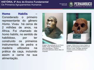 Homo Habilis –
Considerado o primeiro
representante do gênero
Homo. Viveu há cerca de
2 milhões de anos, na
África. Foi chamado de
homo habilis, no sentido de
habilidoso, por ter
construído os primeiros
instrumentos de pedra e
madeira utilizados na
prática da caça, incluindo
assim a carne na sua
alimentação.
Imagem: Reconstrução de um Homo
Habilis / Autor: Photographed by
User:Lillyundfreya / Creative
Commons Attribution-Share Alike 3.0
Unported.
Imagem: Crânio de um Homo Habilis no
Museu de Antropologia Pré-histórica em
Mônaco / Autor: Georges Jansoone /
Creative Commons Attribution 3.0
Unported.
HISTÓRIA, 6º Ano do Ensino Fundamental
Os Primeiros Agrupamentos Humanos
 