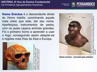 Homo erectus - reconstrução artística
Homo Erectus é o descendente direto
do Homo habilis; caminhando aquele
mais ereto que este, daí seu nome.
Aperfeiçoou instrumentos de pedra,
com os quais caçava animais grandes.
Foi o primeiro homo a aprender a usar
o fogo, conseguindo assim adaptar-se
a regiões mais frias da Ásia e Europa.
Imagem:
Reconstrução
de
um
Homo
Erectus
/
Autor:
Photographed
by
User:Lillyundfreya
/
Creative
Commons
Attribution-Share
Alike
3.0
Unported.
Imagem:
Homo
Erectus.
Museu
de
História
Natural,
Ann
Harbor,
Michigan
/
Autor:
Thomas
Roche
/
Creative
Commons
Attribution-Share
Alike
2.0
Generic.
HISTÓRIA, 6º Ano do Ensino Fundamental
Os Primeiros Agrupamentos Humanos
 