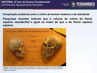 Pesquisas recentes indicam que o volume do crânio do Homo
sapiens neanderthal é igual ou maior do que o do Homo sapiens
sapiens.
Comparação anatômica entre o crânio do homem moderno e do neandertal
Imagem: Comparação de crânio humanos neandertais e modernos noo Museu de História Natural de
Cleveland / Autor: hairymuseummatt / Creative Commons Atribuição-Partilha nos Termos da Mesma
Licença 2.0 Genérica.
HISTÓRIA, 6º Ano do Ensino Fundamental
Os Primeiros Agrupamentos Humanos
 