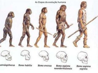 As Etapas da evolução humana 