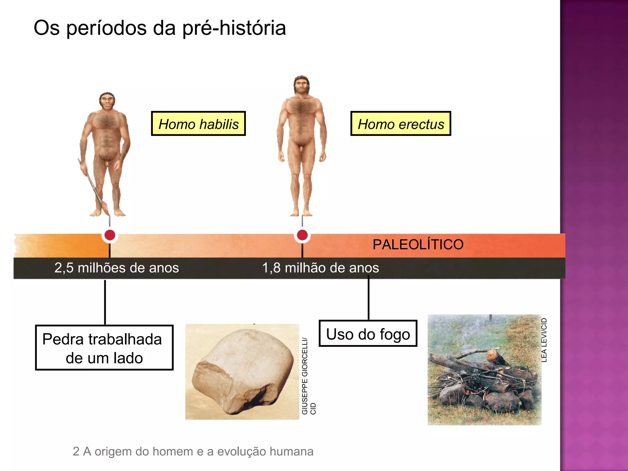Os primórdios da humanidade | PPT | Antiquing and Antiques | Hobbies ...