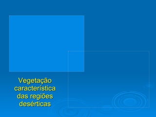 Vegetação característica das regiões desérticas 