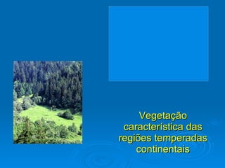 Vegetação característica das regiões temperadas continentais 