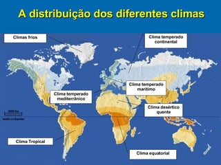 A distribuição dos diferentes climas Clima equatorial Clima Tropical Clima temperado continental Clima desértico quente Clima temperado mediterrânico Clima temperado marítimo Climas frios 