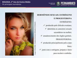 BIOLOGIA, 2° Ano do Ensino Médio
Os principais hormônios
HORMÔNIOS SEXUAIS: ESTRÓGENO
E PROGESTERONA
ESTRÓGENO:
 produzido pelo folículo ovariano;
 determina os caracteres sexuais
secundários na mulher;
 amadurecimento dos órgãos genitais.
PROGESTERONA:
 produzido principalmente pelo corpo
lúteo;
 junto com o estrógeno, prepara o útero
para receber o embrião.
Imagem
:Chris
Willis/
Creative
Commons
Attribution
2.0
Generic
 