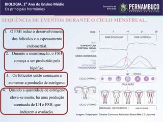 BIOLOGIA, 2° Ano do Ensino Médio
Os principais hormônios
SEQUÊNCIA DE EVENTOS DURANTE O CICLO MENSTRUAL.
1. O FSH induz o desenvolvimento
dos folículos e o espessamento
endometrial.
2. Durante a menstruação, o FSH
começa a ser produzido pela
hipófise.
3. Os folículos então começam a
aumentar a produção de estrógeno.
4. Quando a quantidade de estrógeno
eleva-se muito, há uma produção
acentuada de LH e FSH, que
induzem a ovulação. Imagem: Polyethylen/ Creative Commons Attribution-Share Alike 3.0 Unported
 