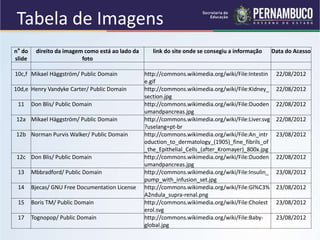 n° do
slide
direito da imagem como está ao lado da
foto
link do site onde se consegiu a informação Data do Acesso
10c,f Mikael Häggström/ Public Domain http://commons.wikimedia.org/wiki/File:Intestin
e.gif
22/08/2012
10d,e Henry Vandyke Carter/ Public Domain http://commons.wikimedia.org/wiki/File:Kidney_
section.jpg
22/08/2012
11 Don Blis/ Public Domain http://commons.wikimedia.org/wiki/File:Duoden
umandpancreas.jpg
22/08/2012
12a Mikael Häggström/ Public Domain http://commons.wikimedia.org/wiki/File:Liver.svg
?uselang=pt-br
22/08/2012
12b Norman Purvis Walker/ Public Domain http://commons.wikimedia.org/wiki/File:An_intr
oduction_to_dermatology_(1905)_fine_fibrils_of
_the_Epithelial_Cells_(after_Kromayer)_800x.jpg
23/08/2012
12c Don Blis/ Public Domain http://commons.wikimedia.org/wiki/File:Duoden
umandpancreas.jpg
22/08/2012
13 Mbbradford/ Public Domain http://commons.wikimedia.org/wiki/File:Insulin_
pump_with_infusion_set.jpg
23/08/2012
14 Bjecas/ GNU Free Documentation License http://commons.wikimedia.org/wiki/File:Gl%C3%
A2ndula_supra-renal.png
23/08/2012
15 Boris TM/ Public Domain http://commons.wikimedia.org/wiki/File:Cholest
erol.svg
23/08/2012
17 Tognopop/ Public Domain http://commons.wikimedia.org/wiki/File:Baby-
global.jpg
23/08/2012
Tabela de Imagens
 
