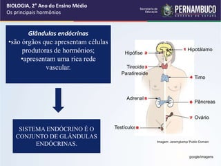 Glândulas endócrinas
•são órgãos que apresentam células
produtoras de hormônios;
•apresentam uma rica rede
vascular.
SISTEMA ENDÓCRINO É O
CONJUNTO DE GLÂNDULAS
ENDÓCRINAS.
BIOLOGIA, 2° Ano do Ensino Médio
Os principais hormônios
google/imagens
Testículos
Imagem: Jeremykemp/ Public Domain
Hipotálamo
Hipófise
Tireoide
Timo
Adrenal
Pâncreas
Ovário
Paratireoide
 