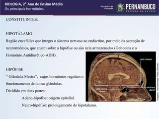 CONSTITUINTES:
HIPOTÁLAMO
Região encefálica que integra o sistema nervoso ao endócrino, por meio da secreção de
neurormônios, que atuam sobre a hipófise ou são nela armazenados (Ocitocina e o
Hormônio Antidiurético-ADH).
HIPÓFISE
“ Glândula Mestra”, cujos hormônios regulam o
funcionamento de outras glândulas.
Dividida em duas partes:
Adeno-hipófise: origem epitelial.
Neuro-hipófise: prolongamento do hipotálamo.
BIOLOGIA, 2° Ano do Ensino Médio
Os principais hormônios
google/imagens
Imagem:
Harikishoreaj/
Public
Domain
 