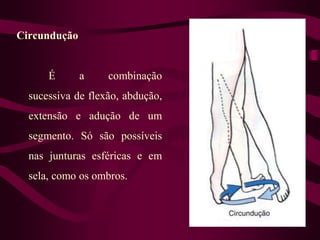 Circundução
É a combinação
sucessiva de flexão, abdução,
extensão e adução de um
segmento. Só são possíveis
nas junturas esféricas e em
sela, como os ombros.
 