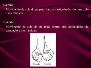 Eversão
Movimento da sola do pé para fora nas articulações do tornozelo
e intertársicas.
Inversão
Movimento da sola do pé para dentro, nas articulações do
tornozelo e intertársicas.
 