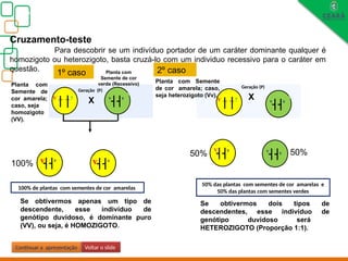v
v
V
V
Biologia, 3° ano
Os princípios das Leis da Genética ou Mendelianas
Para descobrir se um indivíduo portador de um caráter dominante qualquer é
homozigoto ou heterozigoto, basta cruzá-lo com um individuo recessivo para o caráter em
questão.
Se obtivermos dois tipos de
descendentes, esse indivíduo de
genótipo duvidoso será
HETEROZIGOTO (Proporção 1:1).
1º caso
?
V
Planta com
Semente de
cor amarela;
caso, seja
homozigoto
(VV).
Planta com
Semente de cor
verde (Recessivo)
v
v
Geração (P)
50% das plantas com sementes de cor amarelas e
50% das plantas com sementes verdes
X
Se obtivermos apenas um tipo de
descendente, esse indivíduo de
genótipo duvidoso, é dominante puro
(VV), ou seja, é HOMOZIGOTO.
v
v
v
v
v
V
v
v
100% de plantas com sementes de cor amarelas
v
v
v
V ?
V v
v
Geração (P)
X
2º caso
Continuar a apresentação Voltar o slide
Cruzamento-teste
Planta com Semente
de cor amarela; caso,
seja heterozigoto (Vv).
50% 50%
100%
 