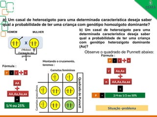 Biologia, 3° ano
Os princípios das Leis da Genética ou Mendelianas
A
a
A a
(Meiose)
Formação dos
gametas
HOMEM MULHER
A
a
A a
A
A a
A
a
A a
a
Montando o cruzamento,
teremos :
Gametas femininos
Gametas
masculinos
Quadrado
de
Punnett
a
A a
A
X
a) Um casal de heterozigoto para uma determinada característica deseja saber
qual a probabilidade de ter uma criança com genótipo homozigoto dominante?
P = r n
AA
AA,Aa,Aa,aa
=
1/4 ou 25%
b) Um casal de heterozigoto para uma
determinada característica deseja saber
qual a probabilidade de ter uma criança
com genótipo heterozigoto dominante
(Aa)?
Fórmula :
P = r n
Aa,Aa
AA,Aa,Aa,aa
=
2/4 ou 1/2 ou 50%
Fórmula :
Observe o quadrado de Punnett abaixo:
Situação -problema
r
n
P =
 