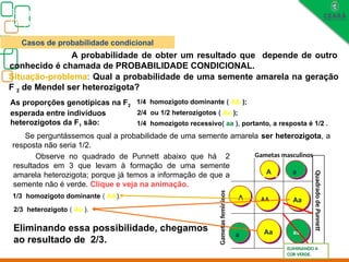 Quadrado
de
Punnett
Biologia, 3° ano
Os princípios das Leis da Genética ou Mendelianas
A probabilidade de obter um resultado que depende de outro
conhecido é chamada de PROBABILIDADE CONDICIONAL.
Situação-problema: Qual a probabilidade de uma semente amarela na geração
F 2 de Mendel ser heterozigota?
As proporções genotípicas na F2
esperada entre indivíduos
heterozigotos da F1 são:
1/4 homozigoto dominante ( AA );
2/4 ou 1/2 heterozigotos ( Aa );
1/4 homozigoto recessivo( aa ), portanto, a resposta é 1/2 .
Se perguntássemos qual a probabilidade de uma semente amarela ser heterozigota, a
resposta não seria 1/2.
A
a
A a
AA Aa
Aa aa
Gametas masculinos
Gametas
femininos
1/3 homozigoto dominante ( AA).
2/3 heterozigoto ( Aa ).
Observe no quadrado de Punnett abaixo que há 2
resultados em 3 que levam à formação de uma semente
amarela heterozigota; porque já temos a informação de que a
semente não é verde. Clique e veja na animação.
Eliminando essa possibilidade, chegamos
ao resultado de 2/3.
ELIMINANDO A
COR VERDE.
Casos de probabilidade condicional
 