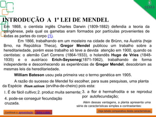 Biologia, 3° ano
Os princípios das Leis da Genética ou Mendelianas
INTRODUÇÃO A 1ª LEI DE MENDEL
A razão do sucesso de Mendel foi escolher, para suas pesquisas, uma planta
da Espécie Pisum sativum (ervilha-de-cheiro) pois esta:
2. produz muita semente;
4. pode-se conseguir fecundação
cruzada.
Em 1868, o cientista inglês Charles Darwin (1809-1882) defendia a teoria da
pangênese, pela qual os gametas eram formados por partículas provenientes de
todas as partes do corpo (1).
Em 1866, trabalhando em um mosteiro na cidade de Brünn, na Áustria (hoje
Brno, na República Theca), Gregor Mendel publicou um trabalho sobre a
hereditariedade, porém esse trabalho só teve a devida atenção em 1900, quando os
cientistas: o alemão Carl Correns (1864-1933), o holandês Hugo de Vries (1848-
1935) e o austríaco Erich-Seyseneg(1871-1962), trabalhando de forma
independente e desconhecendo as experiências de Gregor Mendel, descobriam as
mesmas leis da hereditariedade.
1. É de fácil cultivo; 3. a flor é hermafrodita e se reproduz
por autofecundação;
Além dessas vantagens, a planta apresenta uma
série de características simples e contrastantes:
Continuar a apresentação
Veja tabela comparativa desta características
Voltar o slide
William Bateson usou pela primeira vez o termo genética em 1905.
 