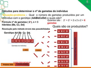 Biologia, 3° ano
Os princípios das Leis da Genética ou Mendelianas
Cálculos para determinar o nº de gametas do individuo
Situação-problema - Qual o número de gametas produzidos por um
individuo com o genótipo (AABbCcDd) e quais são?
Quantos são : 2n
= 23
= 2 x 2 x 2 = 8
gametas
Resolução pelo método árvore das possibilidades
Genótipo AA Bb Cc Dd.
A B b C c
C c D d
D d
D d
D d
A B C D
A B C d
A B c D
A B c d
A b C D
A b C d
A b c D
A b c d
GAMETAS
PRODUZIDOS
Gametas do individuo
Fórmula nº de gametas ( 2n
), n = 3
híbridos (Bb, Cc, Dd)
A B b C c D d
1 ALELO 2 ALELOS
Próximo slide
Quais são os produzidos?
CLIQUE PARA INICIAR AS
POSSIBILIDADES
 