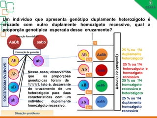 ab
Biologia, 3° ano
Os princípios das Leis da Genética ou Mendelianas
AaBb aabb
AB
Ab
aB
ab
AB
Ab
aB
ab
AaBb
Aabb
aaBb
aabb
Um indivíduo que apresenta genótipo duplamente heterozigoto é
cruzado com outro duplamente homozigoto recessivo, qual a
proporção genotípica esperada desse cruzamento?
25 % ou 1/4
duplamente
heterozigoto
25 % ou 1/4
heterozigoto e
homozigoto
recessivo
Nesse caso, observamos
que as proporções
genotípicas foram de
1:1:1:1. Isto é, decorrente
do cruzamento de um
heterozigoto para duas
características com um
indivíduo duplamente
homozigoto recessivo.
Quadrado
de
Punnett
GAMETAS
PRODUZIDOS
ab
Geração Parental (P)
Formação de gametas
25 % ou 1/4
homozigoto
recessivo e
heterozigoto
25 % ou 1/4
duplamente
homozigoto
recessivo
1/4
1/4
1/4
1/4
1
Situação -problema
 