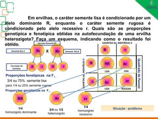 Biologia, 3° ano
Os princípios das Leis da Genética ou Mendelianas
Em ervilhas, o caráter semente lisa é condicionado por um
alelo dominante R, enquanto o caráter semente rugosa é
condicionado pelo alelo recessivo r. Quais são as proporções
genotípica e fenotípica obtidas na autofecundação de uma ervilha
heterozigota? Faça um esquema, indicando como o resultado foi
obtido.
Rr Rr
R r R r
R
r
R r
RR Rr
Rr rr
RR Rr rr
1/4
homozigoto dominante
2/4 ou 1/2
heterozigoto
1/4
homozigoto
recessivo
Geração Parental (P)
Formação de
Gametas
X
Quadrado
de
Punnet
LISA LISA
RUGOSA
LISA
Semente lisa A Semente lisa B
3/4 ou 75% semente lisa
para 1/4 ou 25% semente rugosa
Proporções fenotípicas na F1 ;
Proporções genotípicas na F1 ;
GAMETAS
do
INDIVÍDUO
B
GAMETAS do INDIVÍDUO A
Situação - problema
 