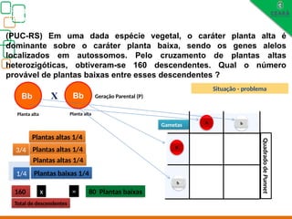 1/4
BV
BV
Biologia, 3° ano
Os princípios das Leis da Genética ou Mendelianas
(PUC-RS) Em uma dada espécie vegetal, o caráter planta alta é
dominante sobre o caráter planta baixa, sendo os genes alelos
localizados em autossomos. Pelo cruzamento de plantas altas
heterozigóticas, obtiveram-se 160 descendentes. Qual o número
provável de plantas baixas entre esses descendentes ?
X Bb
Bb Geração Parental (P)
Planta alta Planta alta
3/4
1/4
Plantas altas 1/4
Plantas baixas 1/4
160 x = 80 Plantas baixas
bB
b
bB
CB
B B
bB
b
Quadrado
de
Punnet
B
Gametas b
bB
B
Total de descendentes
Plantas altas 1/4
Plantas altas 1/4
Situação - problema
 