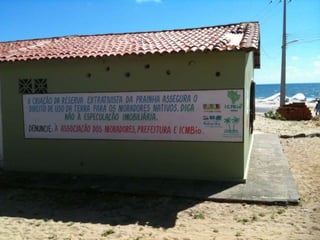 Os princípios de direito ambiental