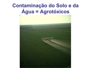 Contaminação do Solo e da
Água = Agrotóxicos
 