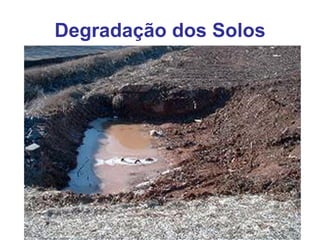 Degradação dos Solos
 