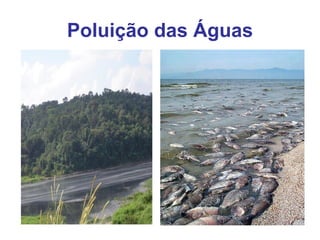 Poluição das Águas
 