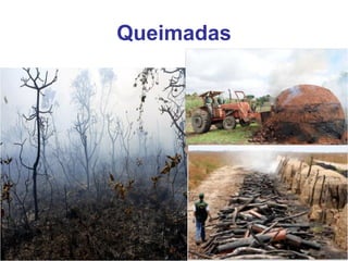 Queimadas
 
