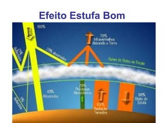 Efeito Estufa Bom
 