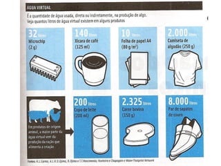 Os problemas ambientais