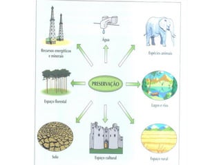 Os problemas ambientais