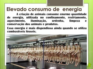 Elevado consumo de energia
A criação de animais consome enorme quantidade
de energia, utilizada no confinamento, resfriamento,
aquecimento, iluminação, ordenha, limpeza e
conservação dos animais e produtos.
Essa energia é mais dispendiosa ainda quando se utiliza
combustíveis fósseis.
11
 