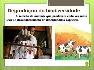 Degradação da biodiversidade
A seleção de animais que produzam cada vez mais
leva ao desaparecimento de determinadas espécies.
4
 