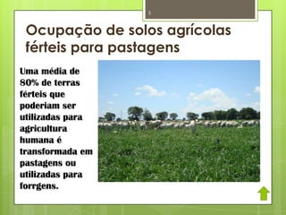 Ocupação de solos agrícolas
férteis para pastagens
Uma média de
80% de terras
férteis que
poderiam ser
utilizadas para
agricultura
humana é
transformada em
pastagens ou
utilizadas para
forrgens.
5
 