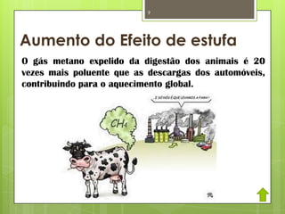 Aumento do Efeito de estufa
O gás metano expelido da digestão dos animais é 20
vezes mais poluente que as descargas dos automóveis,
contribuindo para o aquecimento global.
9
 