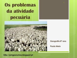 Os problemas
da atividade
pecuária
Geografia 8º ano
Paula Melo
1
http://pmgeorumos.blogspot.pt
 